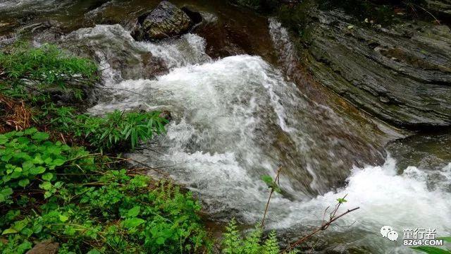 (“厦门实践”调研行)死水变活水 厦门马銮湾华丽蜕变